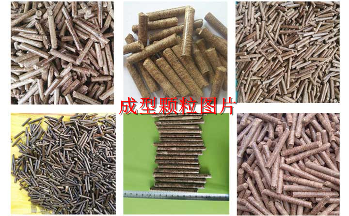 成型顆粒機(jī)圖片 成型顆粒機(jī)圖片