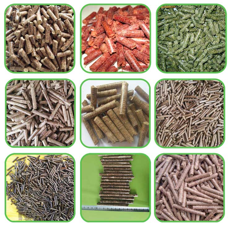 生物質環(huán)模顆粒機設備如何生產(chǎn)顆粒燃料 生物質環(huán)模顆粒機設備如何生產(chǎn)顆粒燃料