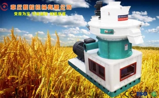 中國創(chuàng)新提速，綠色經(jīng)濟之離心高效環(huán)模顆粒機