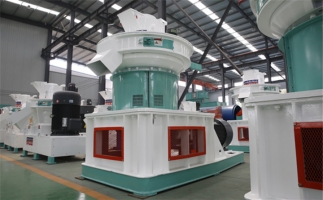 木屑顆粒機(jī)多少錢一臺？生產(chǎn)廠家告訴你