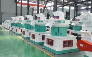 木屑顆粒機(jī)有什么優(yōu)勢(shì)和性能呢？