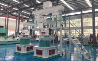 木屑顆粒機多少錢一臺?建顆粒廠大約多少錢？