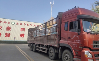 忙碌的五月，忙碌的發(fā)貨，金格瑞顆粒機生產(chǎn)線發(fā)往全國各地