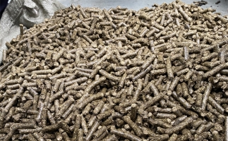 為什么很多人想了解木屑顆粒機加工的燃料顆粒作用？