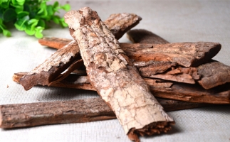 木材加工廠的廢棄物刨花能夠用來(lái)做什么？鋸末顆粒機(jī)告訴你