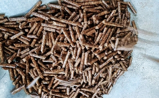 如何選擇鋸末顆粒機(jī)的顆粒燃料？講解！