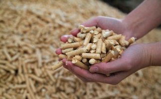 為什么越來越多人選鋸末顆粒機(jī)的生物質(zhì)顆粒取暖？