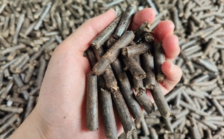 生物質(zhì)顆粒燃料公司前景怎么樣，木屑顆粒機(jī)的顆粒燃料賣給誰的？