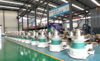 新手開(kāi)顆粒廠，該選小型還是大型木屑顆粒機(jī)？